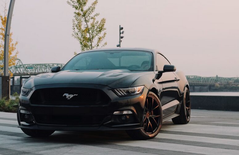 mustang